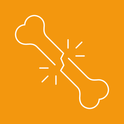 Bone Icon