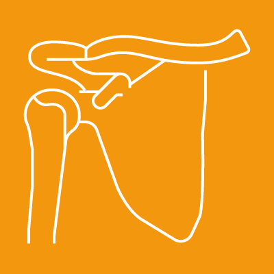 Shoulder Icon