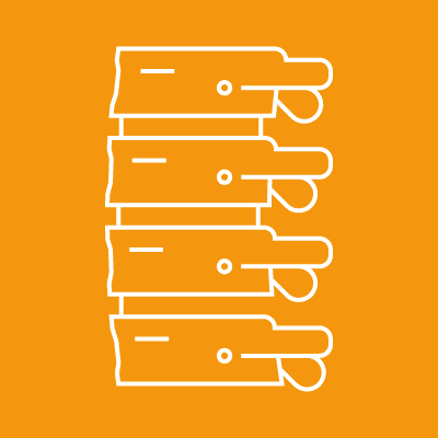 Spine Icon